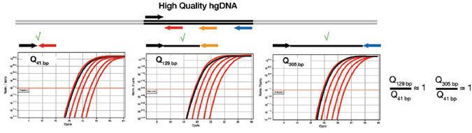 人类基因组DNA定量及质检试剂盒 - 二代测序