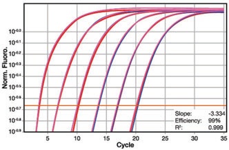 KAPA文库定量试剂盒 - 二代测序