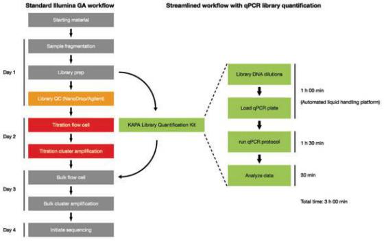KAPA文库定量试剂盒 - 二代测序