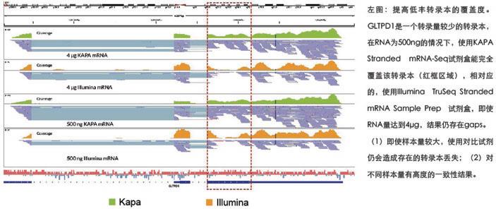KAPA 链方向性RNA/mRNA文库准备试剂盒 - 二代测序