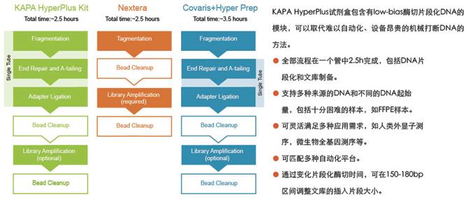 KAPA HyperPlus文库准备试剂盒 - 二代测序