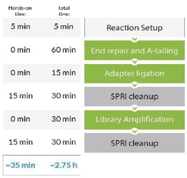 KAPA Hyper文库准备试剂盒 - 二代测序