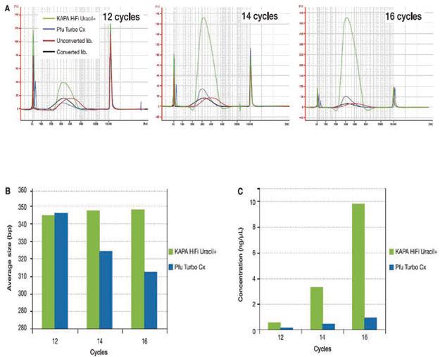 KAPA HiFi高保真甲基化文库扩增试剂 - 二代测序