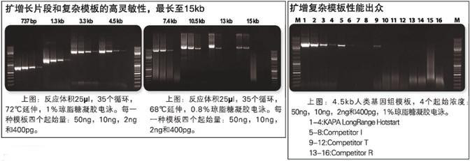 KAPA 长片段DNA聚合酶及Ready Mix - 二代基因工程酶 -