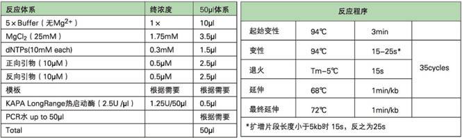 KAPA 长片段DNA聚合酶及Ready Mix - 二代基因工程酶 -
