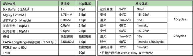 KAPA 长片段DNA聚合酶及Ready Mix - 二代基因工程酶 -