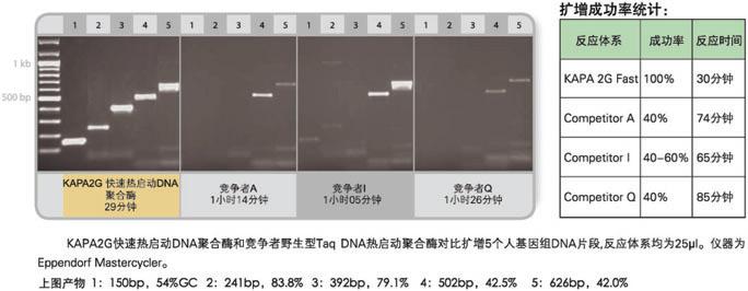 KAPA 2G 快速DNA聚合酶及Ready Mix - 二代基因工程酶 -