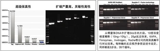 KAPA HiFi高保真DNA聚合酶及Ready Mix - 二代基因工程酶 -