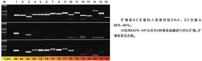 KAPA HiFi高保真DNA聚合酶及Ready Mix - 二代基因工程酶 -