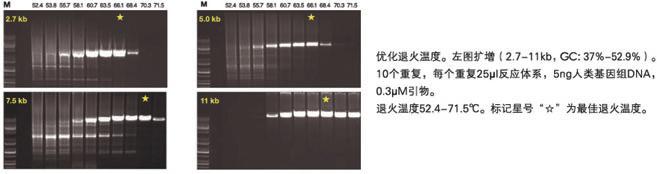 KAPA HiFi高保真DNA聚合酶及Ready Mix - 二代基因工程酶 -