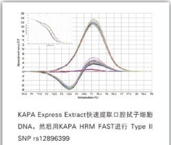 KAPA 高分辨率溶解曲线试剂 - 荧光定量 -