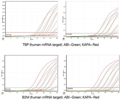 KAPA 探针快速一步法定量试剂 - 荧光定量 -
