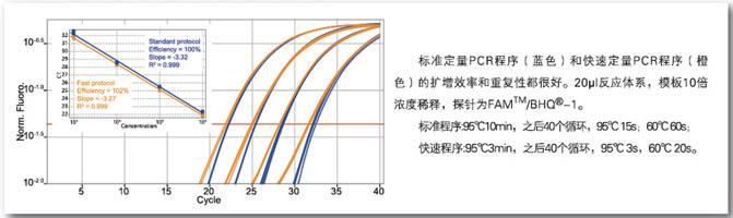 KAPA 探针法快速定量试剂 - 荧光定量 -