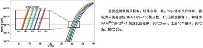 KAPA 探针法快速定量试剂 - 荧光定量 -