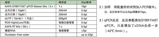 KAPA SYBR®快速一步法定量试剂　含反转录和定量试 - 荧光定量 -