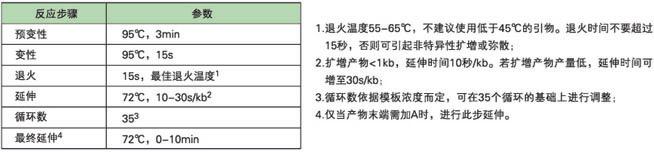 KAPA 小鼠基因分型试剂盒 - 直扩、快提 -