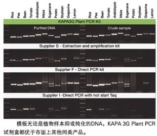 KAPA 3G植物直接扩增试剂盒 - 直扩、快提 -