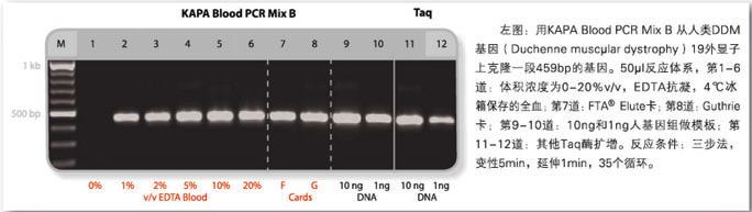 KAPA 血液直接扩增试剂盒 - 直扩、快提 -