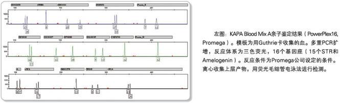 KAPA 血液直接扩增试剂盒 - 直扩、快提 -