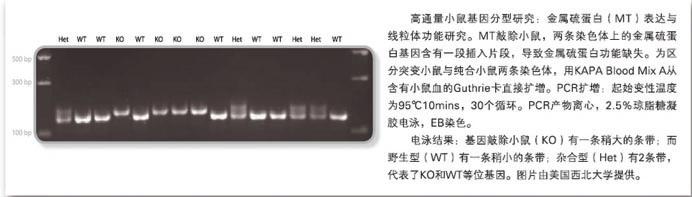 KAPA 血液直接扩增试剂盒 - 直扩、快提 -