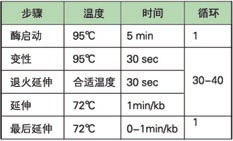 KAPA 血液直接扩增试剂盒 - 直扩、快提 -
