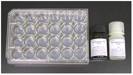 骨吸收检测试剂盒 Bone Resorption Assay Kit