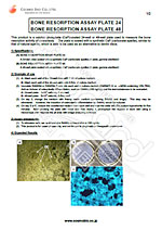 骨吸收检测试剂盒 Bone Resorption Assay Kit