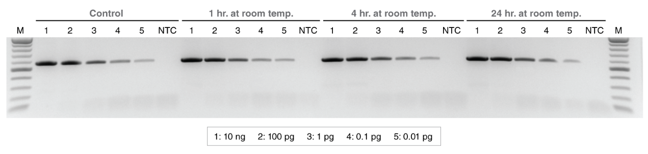 LunaScript® 一步法多重 RT-PCR 试剂盒 