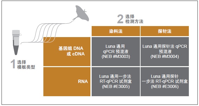 Luna 通用探针法 qPCR 预混液 &nbsp;&nbsp;&nbsp;&nbsp;&nbsp;&nbsp;&nbsp;&nbsp;&nbsp;&nbsp;&nbsp;&nbsp;&nbsp;&nbsp;&nbsp;&nbsp;&nbsp;&nbsp;&nbsp;&nbsp; &nbsp;&nbsp;&nbsp;&nbsp;&nbsp;&nbsp;&nbsp;