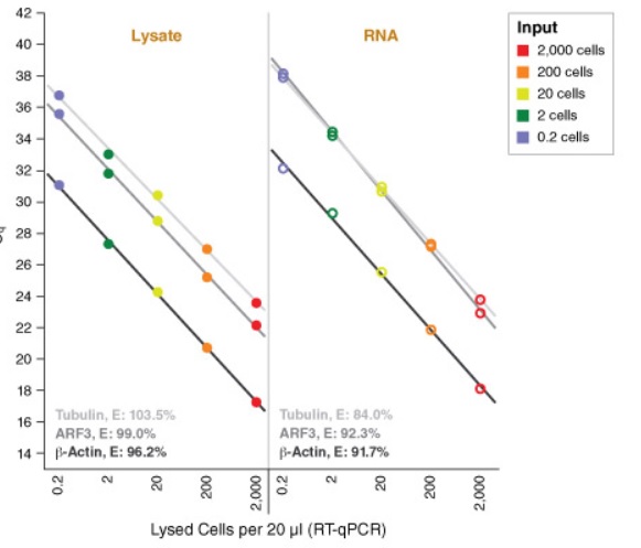 Luna Cell Ready探针一步法 RT-qPCR 试剂盒 &nbsp;&nbsp;&nbsp;&nbsp;&nbsp;&nbsp;&nbsp;&nbsp;&nbsp;&nbsp;&nbsp;&nbsp;&nbsp;&nbsp;&nbsp;&nbsp;&nbsp;&nbsp;&nbsp;&nbsp; &nbsp;&nbsp;&nbsp;&nbsp;&nbsp;&nbsp;&nbsp;