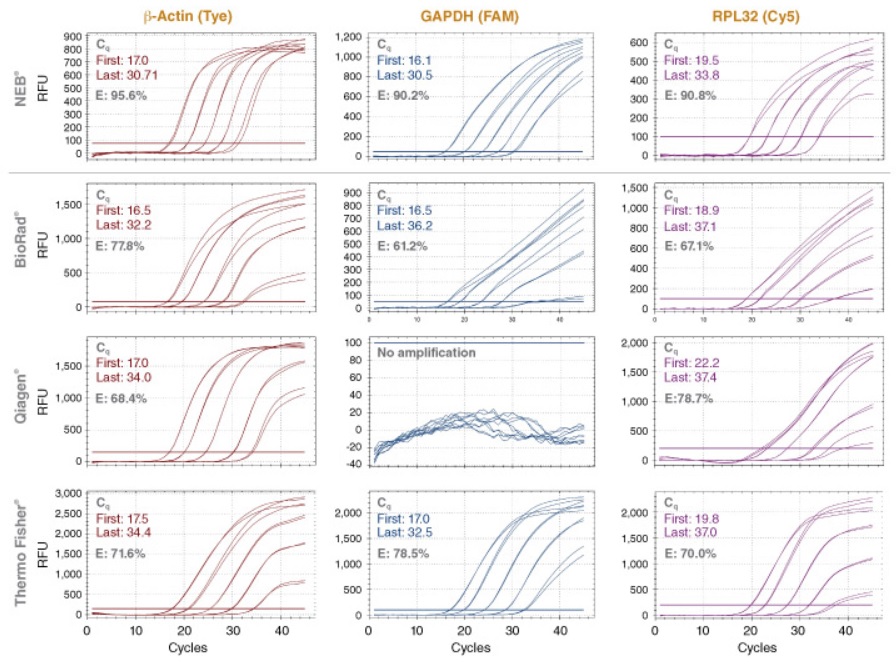 Luna Cell Ready探针一步法 RT-qPCR 试剂盒 &nbsp;&nbsp;&nbsp;&nbsp;&nbsp;&nbsp;&nbsp;&nbsp;&nbsp;&nbsp;&nbsp;&nbsp;&nbsp;&nbsp;&nbsp;&nbsp;&nbsp;&nbsp;&nbsp;&nbsp; &nbsp;&nbsp;&nbsp;&nbsp;&nbsp;&nbsp;&nbsp;