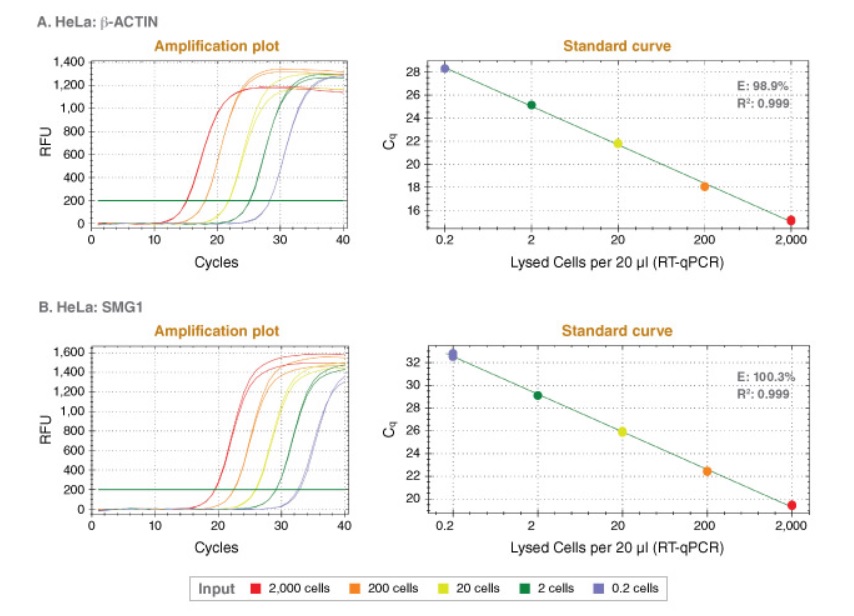 Luna Cell Ready染料一步法 RT-qPCR 试剂盒 &nbsp;&nbsp;&nbsp;&nbsp;&nbsp;&nbsp;&nbsp;&nbsp;&nbsp;&nbsp;&nbsp;&nbsp;&nbsp;&nbsp;&nbsp;&nbsp;&nbsp;&nbsp;&nbsp;&nbsp; &nbsp;&nbsp;&nbsp;&nbsp;&nbsp;&nbsp;&nbsp;