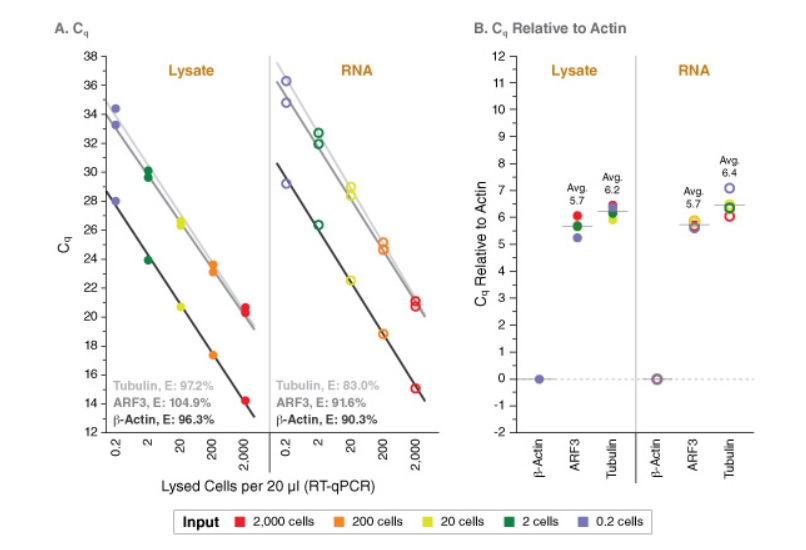 Luna Cell Ready染料一步法 RT-qPCR 试剂盒 &nbsp;&nbsp;&nbsp;&nbsp;&nbsp;&nbsp;&nbsp;&nbsp;&nbsp;&nbsp;&nbsp;&nbsp;&nbsp;&nbsp;&nbsp;&nbsp;&nbsp;&nbsp;&nbsp;&nbsp; &nbsp;&nbsp;&nbsp;&nbsp;&nbsp;&nbsp;&nbsp;