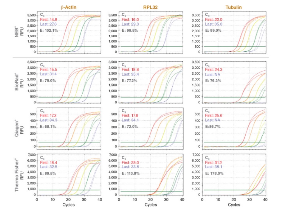 Luna Cell Ready染料一步法 RT-qPCR 试剂盒 &nbsp;&nbsp;&nbsp;&nbsp;&nbsp;&nbsp;&nbsp;&nbsp;&nbsp;&nbsp;&nbsp;&nbsp;&nbsp;&nbsp;&nbsp;&nbsp;&nbsp;&nbsp;&nbsp;&nbsp; &nbsp;&nbsp;&nbsp;&nbsp;&nbsp;&nbsp;&nbsp;