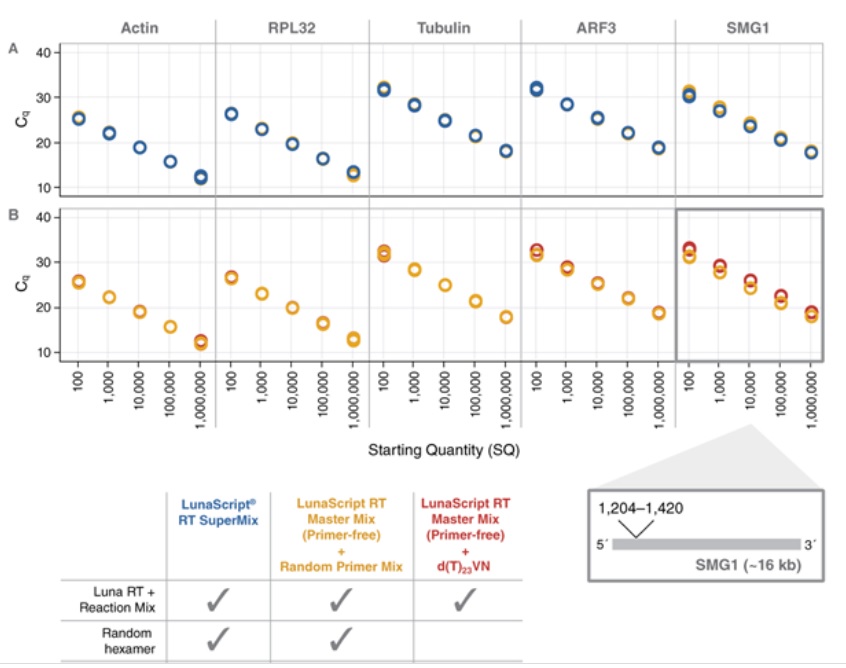 LunaScript® 反转录预混液试剂盒（无引物） &nbsp;&nbsp;&nbsp;&nbsp;&nbsp;&nbsp;&nbsp;&nbsp;&nbsp;&nbsp;&nbsp;&nbsp;&nbsp;&nbsp;&nbsp;&nbsp;&nbsp;&nbsp;&nbsp;&nbsp; &nbsp;&nbsp;&nbsp;&nbsp;&nbsp;&nbsp;&nbsp;