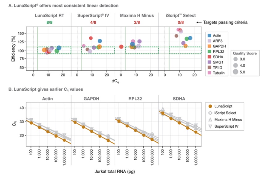LunaScript® 反转录预混液试剂盒（无引物） &nbsp;&nbsp;&nbsp;&nbsp;&nbsp;&nbsp;&nbsp;&nbsp;&nbsp;&nbsp;&nbsp;&nbsp;&nbsp;&nbsp;&nbsp;&nbsp;&nbsp;&nbsp;&nbsp;&nbsp; &nbsp;&nbsp;&nbsp;&nbsp;&nbsp;&nbsp;&nbsp;