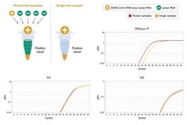 Luna®SARS-CoV-2 多重 RT-qPCR 检测试剂盒 &nbsp;&nbsp;&nbsp;&nbsp;&nbsp;&nbsp;&nbsp;&nbsp;&nbsp;&nbsp;&nbsp;&nbsp;&nbsp;&nbsp;&nbsp;&nbsp;&nbsp;&nbsp;&nbsp;&nbsp; &nbsp;&nbsp;&nbsp;&nbsp;&nbsp;&nbsp;&nbsp;