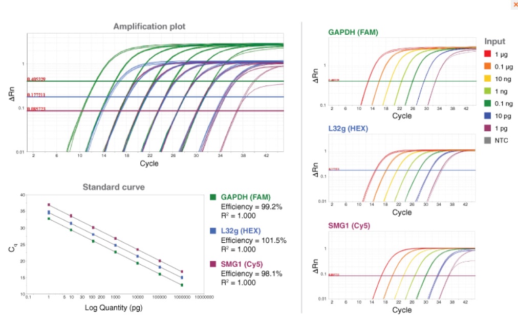 Luna 通用探针一步法 RT-qPCR 试剂盒（无 ROX） &nbsp;&nbsp;&nbsp;&nbsp;&nbsp;&nbsp;&nbsp;&nbsp;&nbsp;&nbsp;&nbsp;&nbsp;&nbsp;&nbsp;&nbsp;&nbsp;&nbsp;&nbsp;&nbsp;&nbsp; &nbsp;&nbsp;&nbsp;&nbsp;&nbsp;&nbsp;&nbsp;