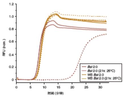 Bst2.0 WarmStart® DNA 聚合酶 &nbsp;&nbsp;&nbsp;&nbsp;&nbsp;&nbsp;&nbsp;&nbsp;&nbsp;&nbsp;&nbsp;&nbsp;&nbsp;&nbsp;&nbsp;&nbsp;&nbsp;&nbsp;&nbsp;&nbsp; &nbsp;&nbsp;&nbsp;&nbsp;&nbsp;&nbsp;&nbsp;