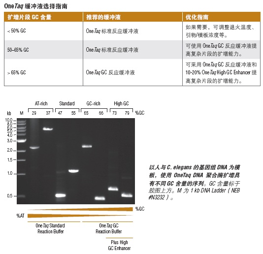 OneTaq 2X 预混液（提供 GC 缓冲液） &nbsp;&nbsp;&nbsp;&nbsp;&nbsp;&nbsp;&nbsp;&nbsp;&nbsp;&nbsp;&nbsp;&nbsp;&nbsp;&nbsp;&nbsp;&nbsp;&nbsp;&nbsp;&nbsp;&nbsp; &nbsp;&nbsp;&nbsp;&nbsp;&nbsp;&nbsp;&nbsp;