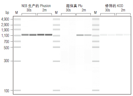 Phusion® 热启动 Flex 2X 预混液 &nbsp;&nbsp;&nbsp;&nbsp;&nbsp;&nbsp;&nbsp;&nbsp;&nbsp;&nbsp;&nbsp;&nbsp;&nbsp;&nbsp;&nbsp;&nbsp;&nbsp;&nbsp;&nbsp;&nbsp; &nbsp;&nbsp;&nbsp;&nbsp;&nbsp;&nbsp;&nbsp;