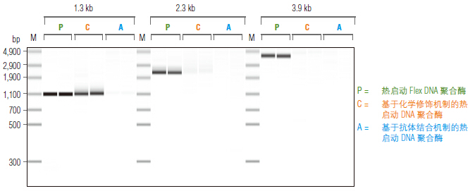 Phusion® 热启动 Flex DNA 聚合酶 &nbsp;&nbsp;&nbsp;&nbsp;&nbsp;&nbsp;&nbsp;&nbsp;&nbsp;&nbsp;&nbsp;&nbsp;&nbsp;&nbsp;&nbsp;&nbsp;&nbsp;&nbsp;&nbsp;&nbsp; &nbsp;&nbsp;&nbsp;&nbsp;&nbsp;&nbsp;&nbsp;