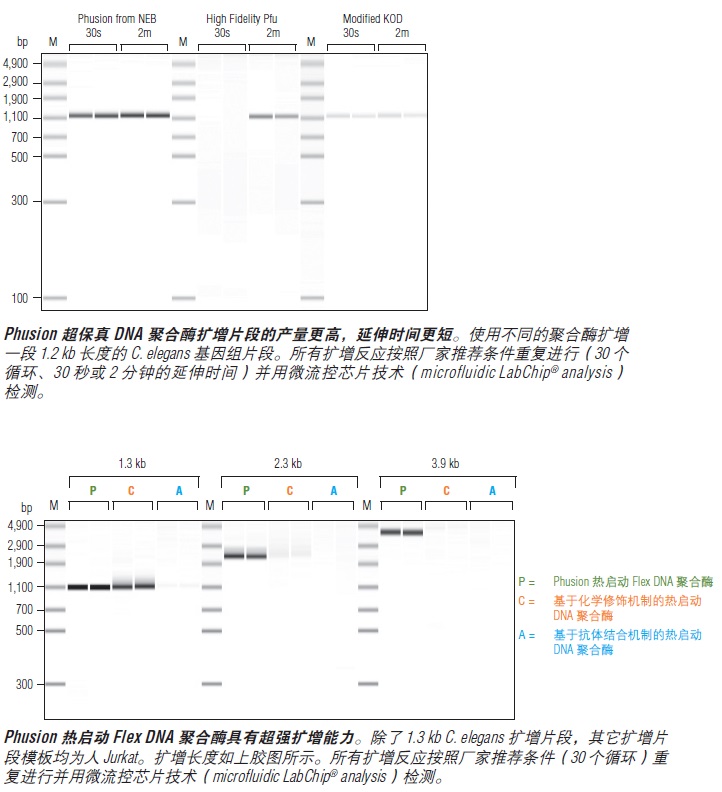 Phusion® 超保真 DNA 聚合酶 &nbsp;&nbsp;&nbsp;&nbsp;&nbsp;&nbsp;&nbsp;&nbsp;&nbsp;&nbsp;&nbsp;&nbsp;&nbsp;&nbsp;&nbsp;&nbsp;&nbsp;&nbsp;&nbsp;&nbsp; &nbsp;&nbsp;&nbsp;&nbsp;&nbsp;&nbsp;&nbsp;