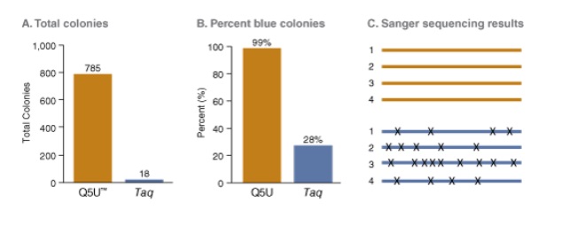 Q5U™ 热启动超保真 DNA 聚合酶 &nbsp;&nbsp;&nbsp;&nbsp;&nbsp;&nbsp;&nbsp;&nbsp;&nbsp;&nbsp;&nbsp;&nbsp;&nbsp;&nbsp;&nbsp;&nbsp;&nbsp;&nbsp;&nbsp;&nbsp; &nbsp;&nbsp;&nbsp;&nbsp;&nbsp;&nbsp;&nbsp;