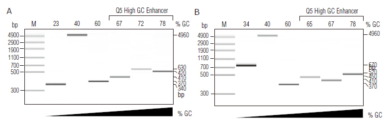 Q5® 热启动超保真 DNA 聚合酶 &nbsp;&nbsp;&nbsp;&nbsp;&nbsp;&nbsp;&nbsp;&nbsp;&nbsp;&nbsp;&nbsp;&nbsp;&nbsp;&nbsp;&nbsp;&nbsp;&nbsp;&nbsp;&nbsp;&nbsp; &nbsp;&nbsp;&nbsp;&nbsp;&nbsp;&nbsp;&nbsp;