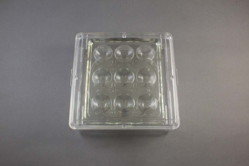 9 Well Glass Plate &#038; Sandwich Box Setup-Hampton 9 孔玻璃板和夹心盒设置