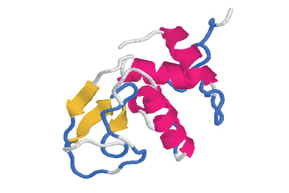 Lysozyme-Hampton 溶菌酶