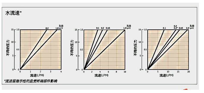 6700-3602英国whatman Polycap TF囊式过滤器