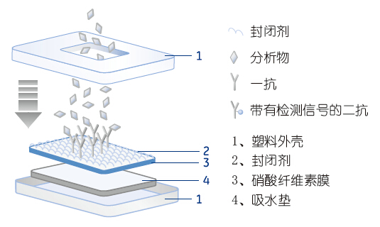 8116-2750 8116-2250whatmanCF6吸收垫8116-2750 8116-2250