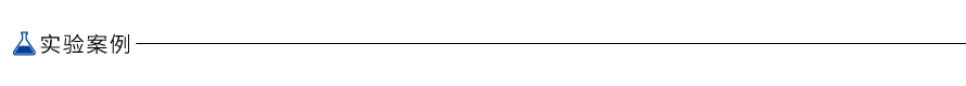 DNA Standard 1-6